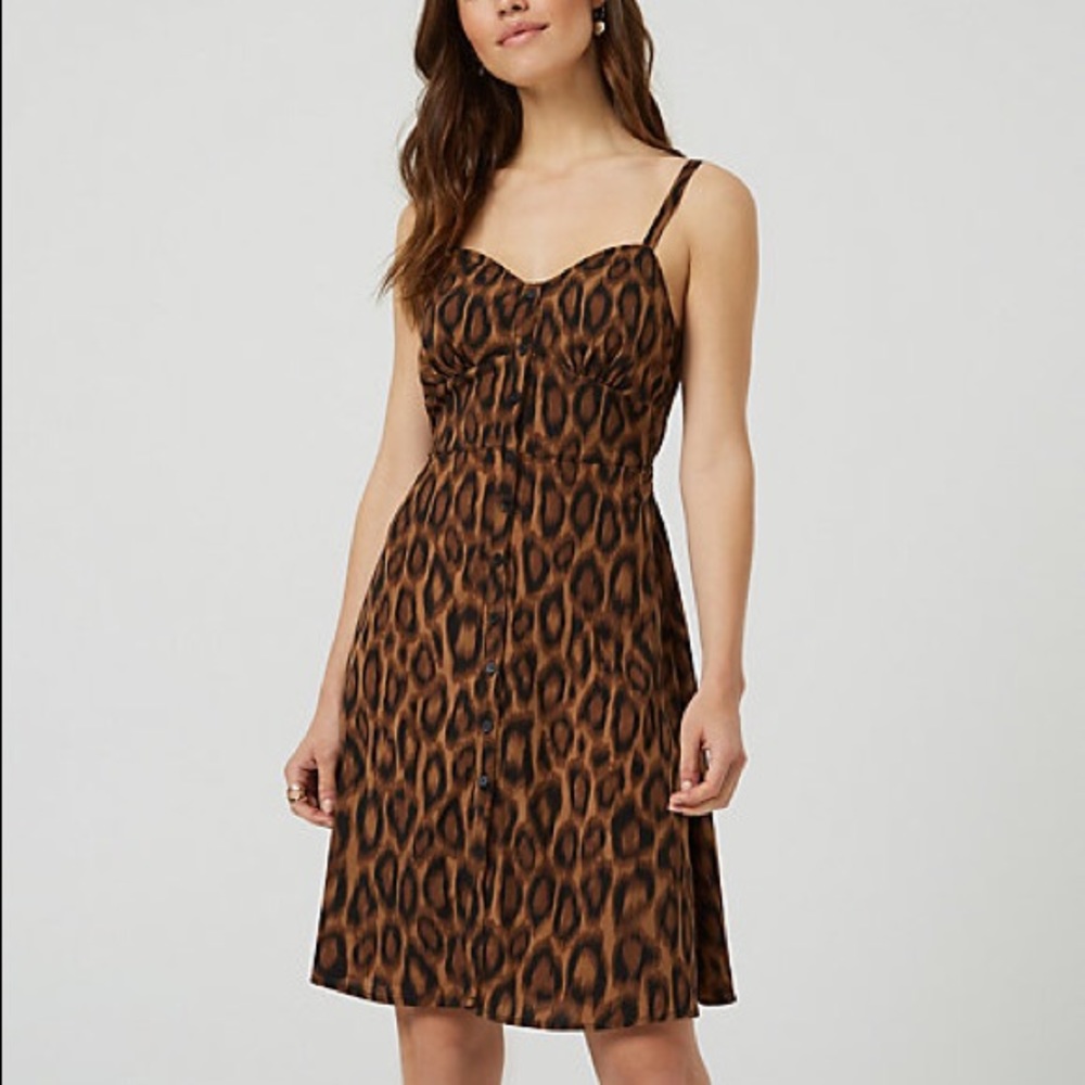 Le château Leopard Print Bustier Dress